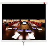 Avtek International Business 200, Manuell, 119 cm, 190 cm, 16:10, Vit