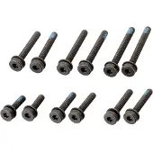 Magura Flatmount Skivbromsskruvar