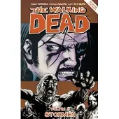The Walking Dead volym 8. Stormen