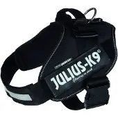 Julius-K9 Idc Hundsele