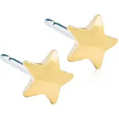 Blomdahl Star 8mm Örhängen 1par