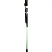Zandstra Nordic skating poles