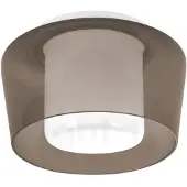 HELESTRA Taklampa Canio, dimbar, Brun / rost, Vardagsrum / matsal, Metall, Modern, Taklampa