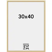 Walther design New Lifestyle 30 x 40, Plast, Guld, 20 x 27 cm, 300 mm, 400 mm