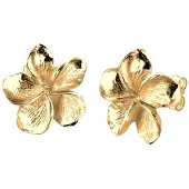 Elli Örhängen 'Frangipani Blüte' guld