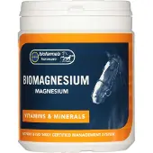 Ginza.se Biofarmab - BioMagnesium - 400g
