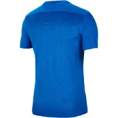 Nike Matchtröja Dry Park VII - Royal Blå/Vit Barn, storlek M: 137-147 cm
