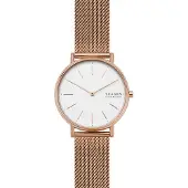 Skagen Signatur SKW2784