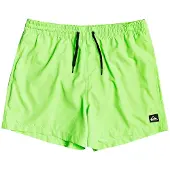 Quiksilver Everyday Volley 15 Boardshorts green gecko Storlek L