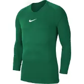 Nike herr T-shirt Dry Park First Layer grön stl. L (AV2609-302)