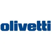 Olivetti B0765 magenta toner (original)