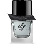 Burberry Mr 50ml Eau De Toilette
