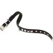 Ferplast Dual 20 Mm 43 Cm Hundhalsband