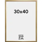 Walther design KP040G Växelram akryl Pappersformat: 30 x 40 cm Guld