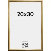 Walther design KP030G Växelram akryl Pappersformat: 20 x 30 cm (B x H) 20 cm x 30 cm Guld