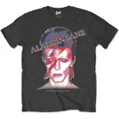 Ginza.se David Bowie: Unisex T-Shirt/Aladdin Sane (Charcoal Grey) (X-Large)