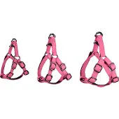 Flamingo Step And Go Leza Hundsele