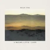 Ginza.se Wild Pink: A Billion Little Lights