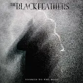 Ginza.se Black Feathers: Soaked To The Bone