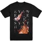 Ginza.se Evanescence: Unisex T-Shirt/Synthesis (Black) (Large)