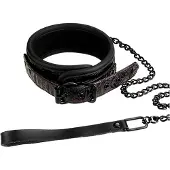 Blaze Snyggt Halsband Med Koppel - Blaze