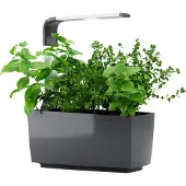 Tregren Kitchen Garden T6 Grå