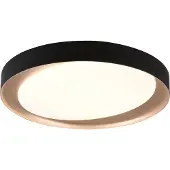 Reality Leuchten LED taklampa Zeta, dimbar, Svart, Vardagsrum / matsal, Syntetmaterial, Modern, LED-taklampa