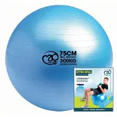Fitness-Mad 300kg Anti-burst Swiss Fitboll