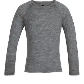 Icebreaker 200 Oasis Crew Merino T-shirt Med Lång ärm