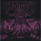 Beartooth Products Beartooth: Below