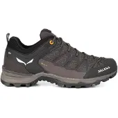 Salewa Mtn Trainer Lite Gore-tex Vandringsskor