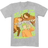 Ginza.se Waterparks: Unisex T-Shirt/Dreamboy (Grey) (Medium)