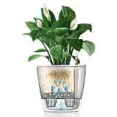 Lechuza Självvattnande Blomkruka - Modern Inomhushave Lösning