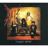 Ginza.se Slits: Trapped Animal