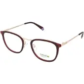 Polaroid Pldd439gbsu Glasögon
