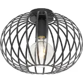 QAZQA Smart taklampa svart 30 cm inkl. Wifi G95 - Johanna