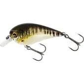 Westin BassBite 1.5 Squarebill Wobbler