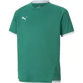 Puma Matchtröja teamLIGA - Grön/White Barn, storlek 128 cm