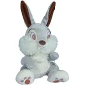 Simba Disney Stampe Giftbox