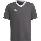 Adidas T-shirt - ENT22 JSYY - Grå/Vit - - 14 år (164) - T-shirt