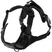 Flamingo Balou Hundsele