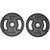 FINNLO 25kg Viktplatta 2 Enheter