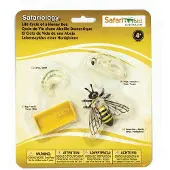 Safari Ltd En Honungsbis Livscykel