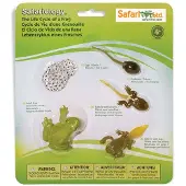 Safari Ltd. Life Cycle of a Frog Figurine Set - Miniature Education Biology Toy for Boys Girls and Kids Ages 4+