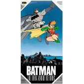 DC Comics Batman Robin Affisch