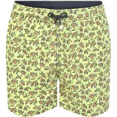 Hackett Sea Turtles Simshorts