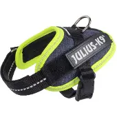 JULIUS K-9 Idc Power Hundsele