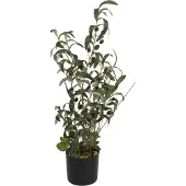 Europalms oliventräd, konstgjord växt, 68 cm (82506421)