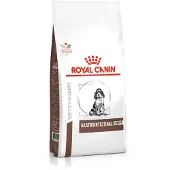 Royal Canin Gastro Intestinal Junior 10kg Hundmat