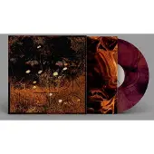Ginza.se Szun Waves: Earth Patterns (Indie Exclusive)